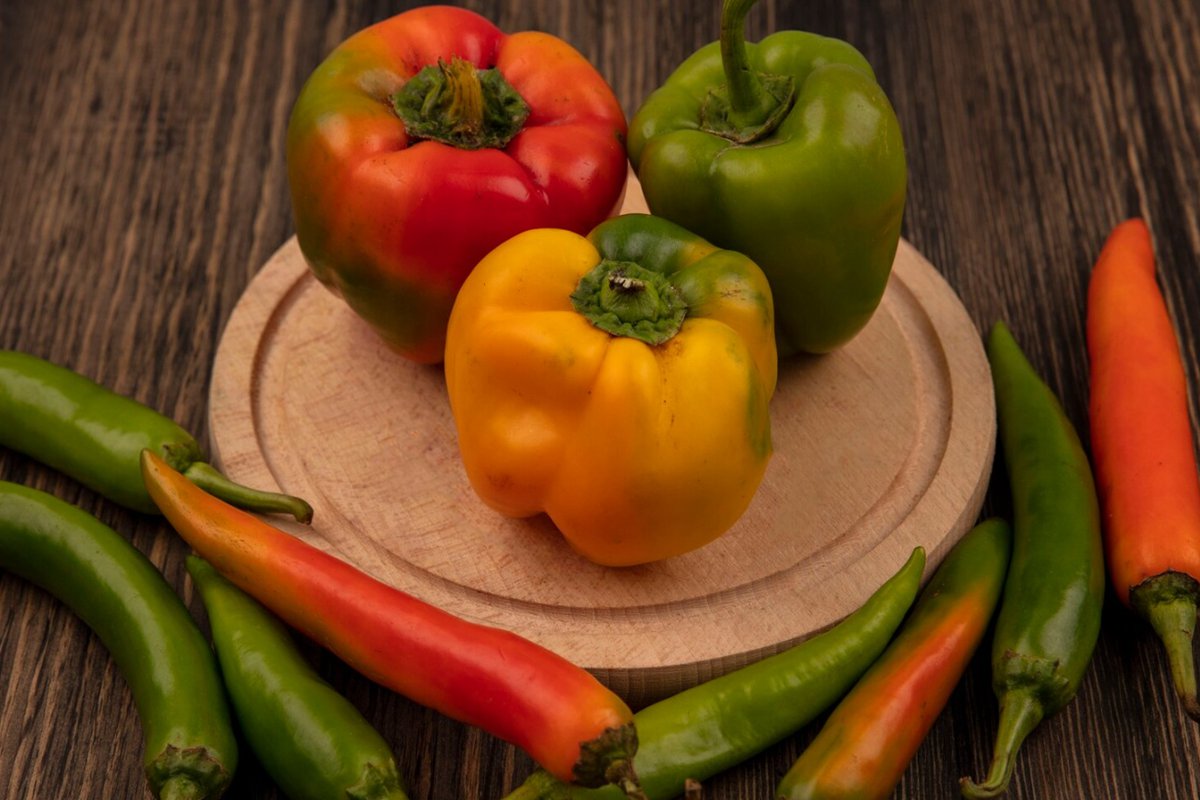 Homemade Taste of Pepper Paste and Tomato Paste: Olgu Gıda’s Natural Production Process